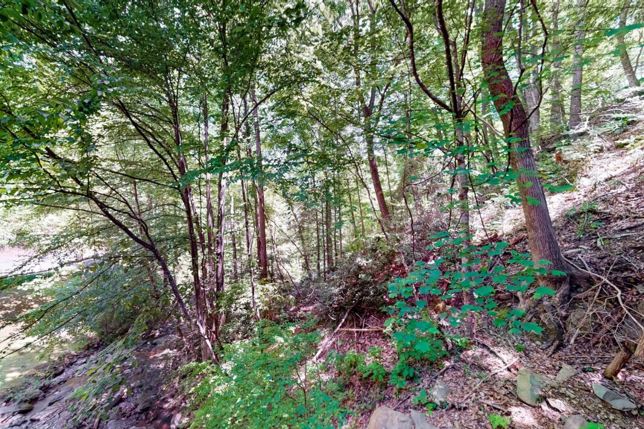 Hiker'S Hideaway Villa Gatlinburg Rum bild